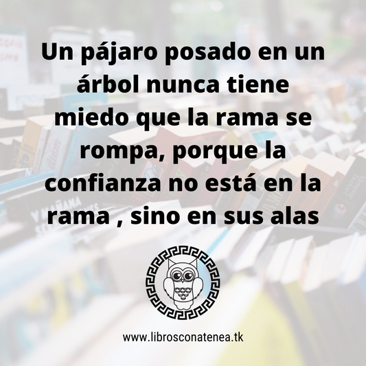 frases reflexion - miedo 