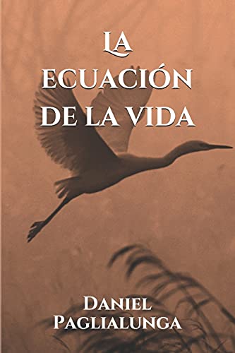 La ecuación de la vida de Daniel Paglialunga