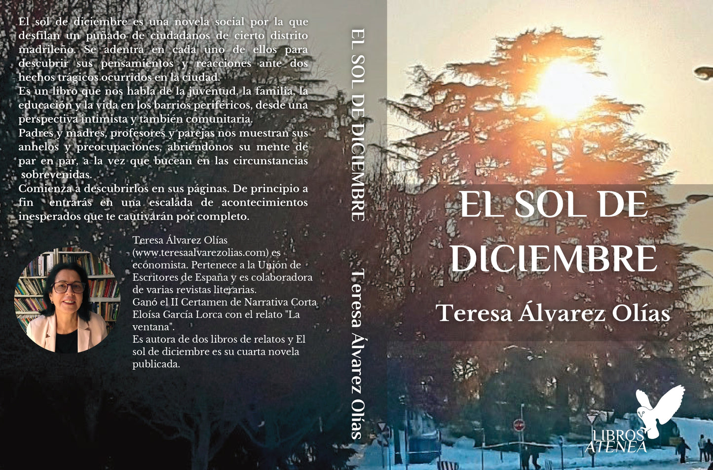 El sol de diciembre  ▷ Teresa Álvarez